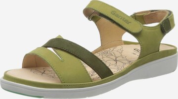 Ganter Sandals in Green: front