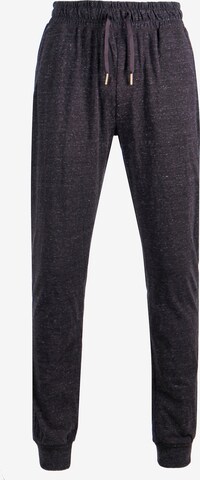 Athlecia Regular Workout Pants 'Chestine' in Grey: front