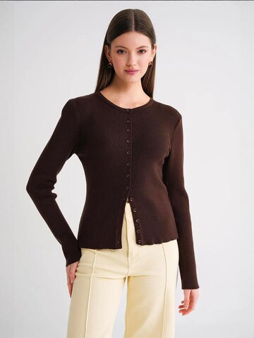 Giacchetta di MixRay in marrone