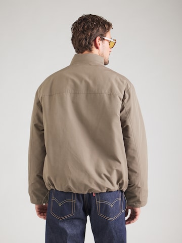 LEVI'S ® Kevad-sügisjope 'Briggs Short Puffer Jacket', värv pruun