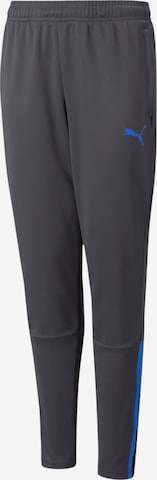 PUMA Slim fit Workout Pants in Grey: front