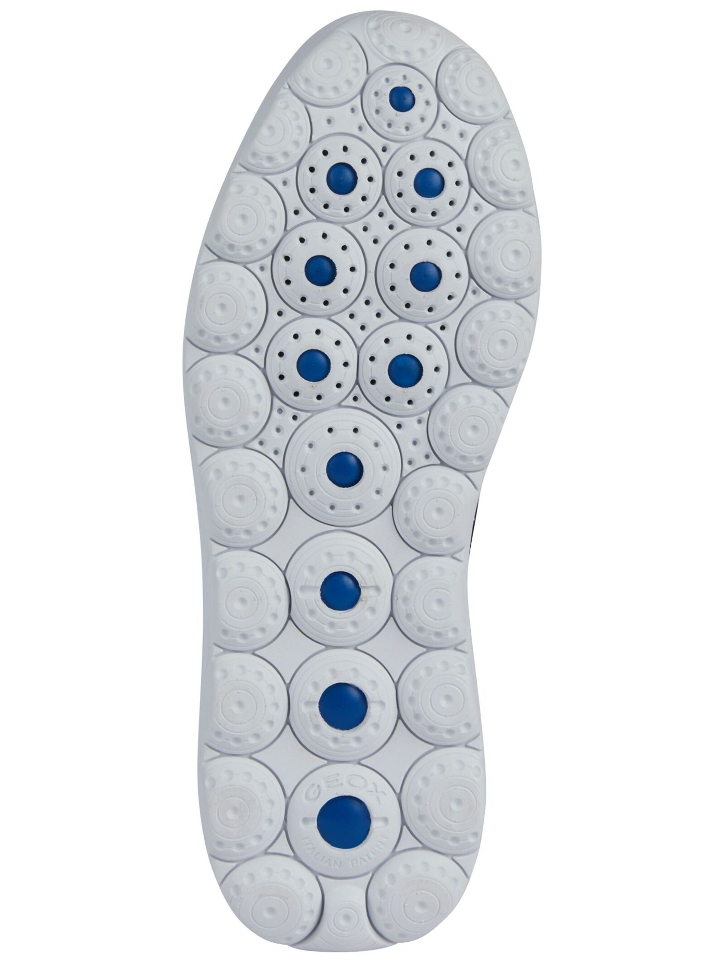 GEOX Sneaker in Blau