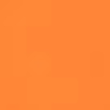 VENICE BEACH Swimming shorts in Orange