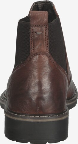 IGI&CO Chelsea Boots in Braun