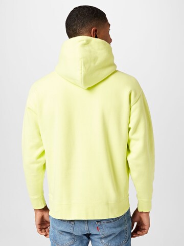 Levi's Skateboarding Sweatshirt 'Skate Hooded Sweatshirt' in Groen