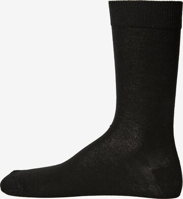 BJÖRN BORG Socks in Black