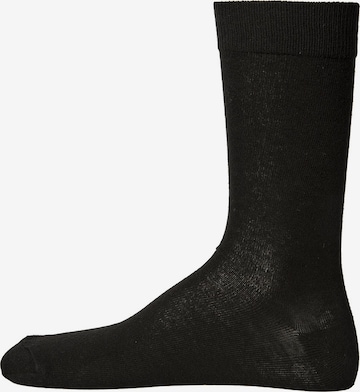 Chaussettes BJÖRN BORG en noir