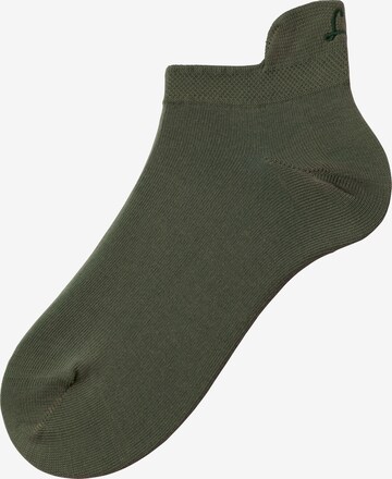 LASCANA Socks in Green