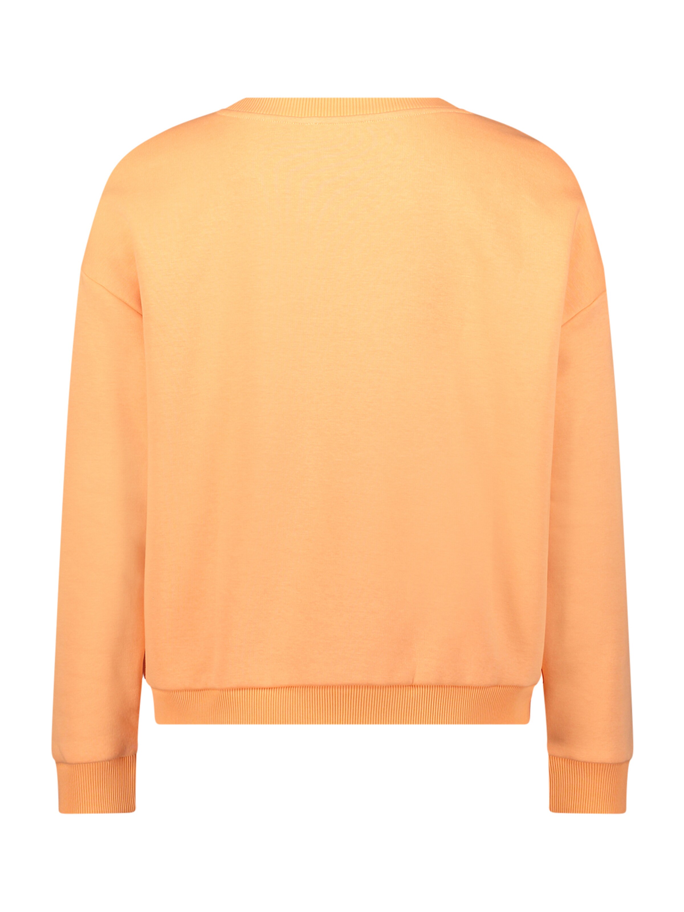 Cartoon Sweatshirt in Orange
