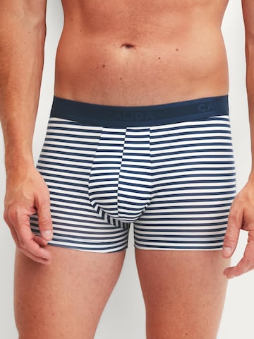 Boxer 'Grafic Cotton' di CALIDA in bianco