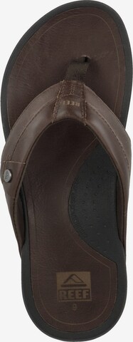 REEF Classic Flats 'Pacific Le' in Brown