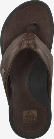 REEF Strandschuh 'Pacific Le' in Braun