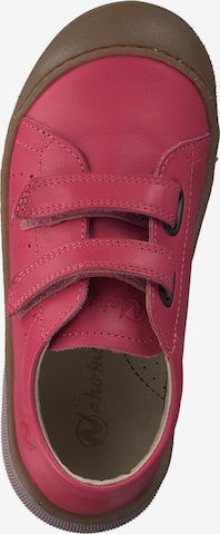 NATURINO Sneaker 'Gabby' in Pink