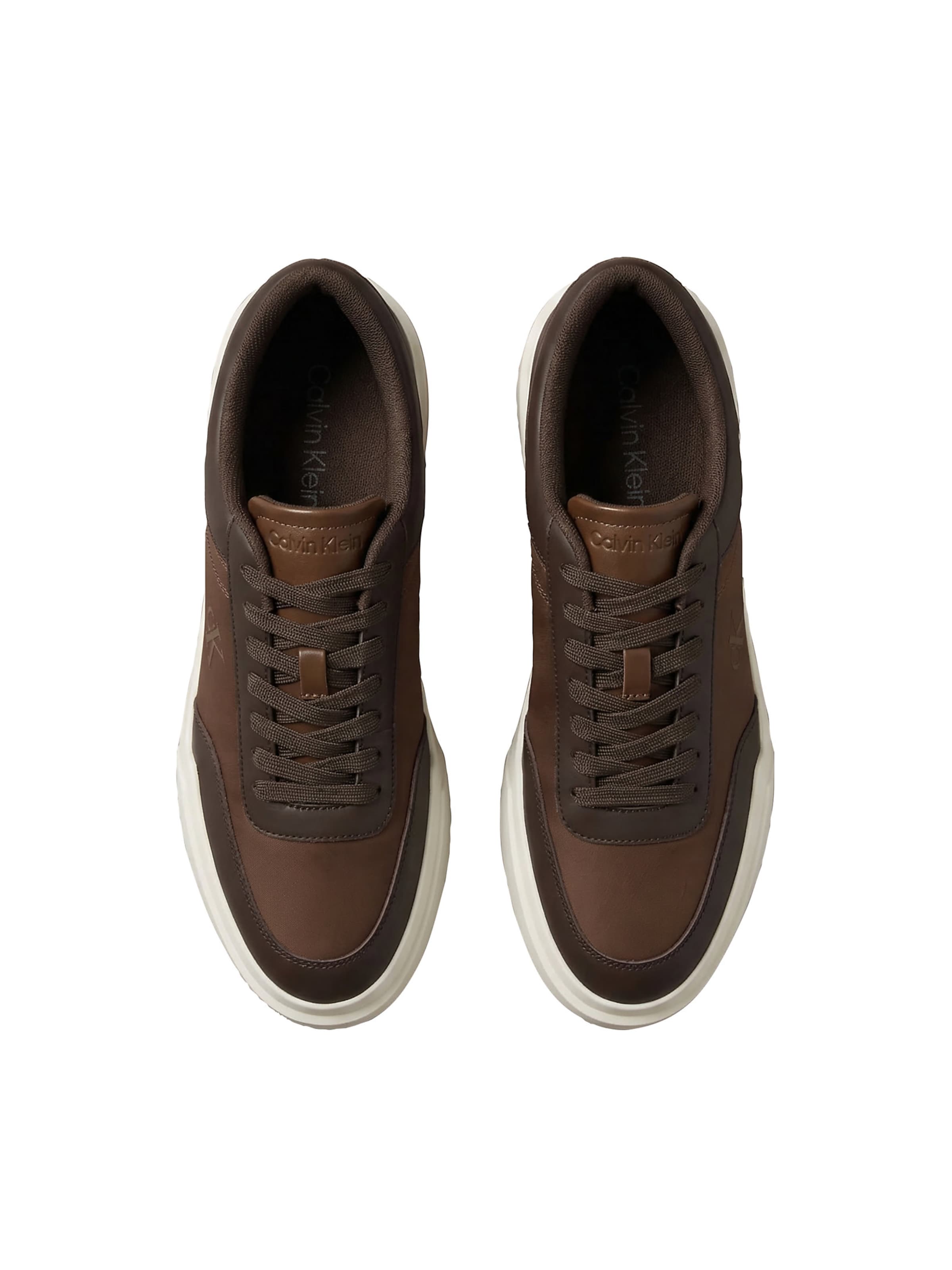 Baskets basses Calvin Klein en marron