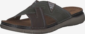 FISCHER Mules in Brown: front