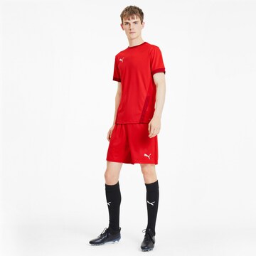 PUMA Jersey 'TeamGoal 23' in Red