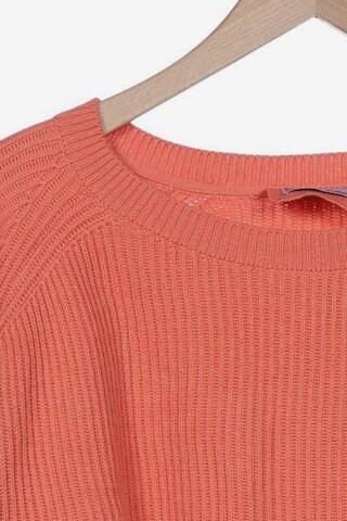 Hugenberg Sweater & Cardigan in L in Orange