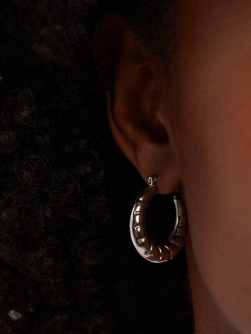 Boucles d'oreilles Lucardi en argent : devant