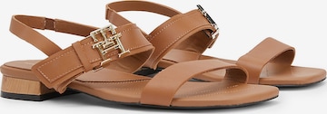 TOMMY HILFIGER Sandalen met riem in Bruin