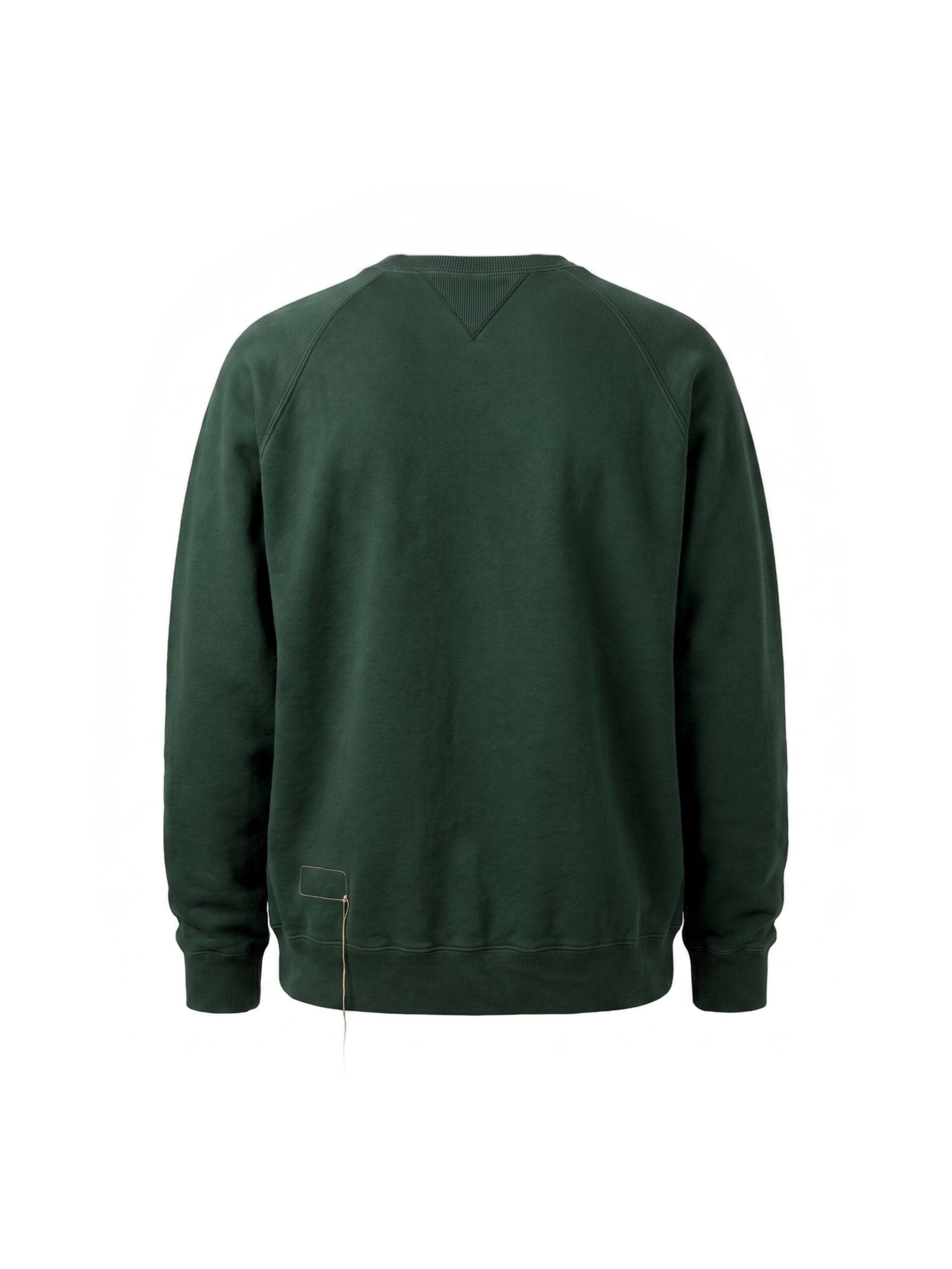 Felpa 'HARVARD CREWNECK SWEATSHIRT IN BRUSHED JERSEY RAGLAN CUT BOTTLE' di Fortela in verde
