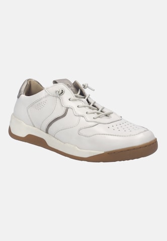 JOSEF SEIBEL High-top trainers in White