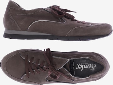 SEMLER Sneakers & Trainers in 37,5 in Brown: front