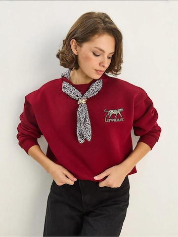 Bianco Lucci Sweatshirt in Rood