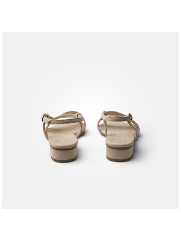 Paul Green Sandalen met riem in Beige