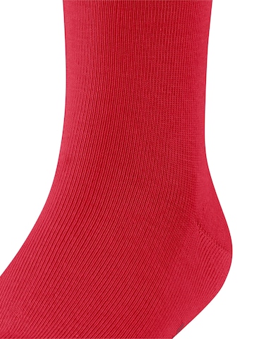 FALKE Socks 'Family' in Red