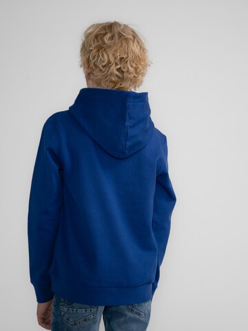 Petrol Industries Sweatshirt 'Willow' in Blauw