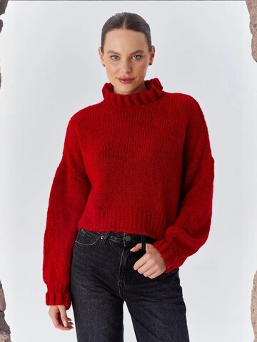 MixRay Sweater in Red: front