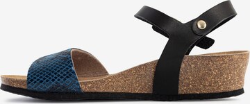 Bayton Sandal 'Wodonga' i blå