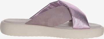 SALAMANDER Mules in Purple