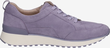 Chaussure de sport à lacets CAPRICE en violet