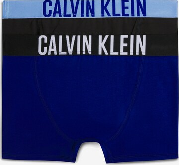 Calvin Klein Underwear Underpants 'Intense Power' in Blue