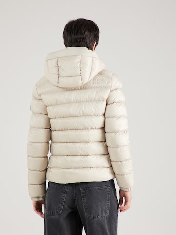 Superdry Winter Jacket 'Fuji' in Beige