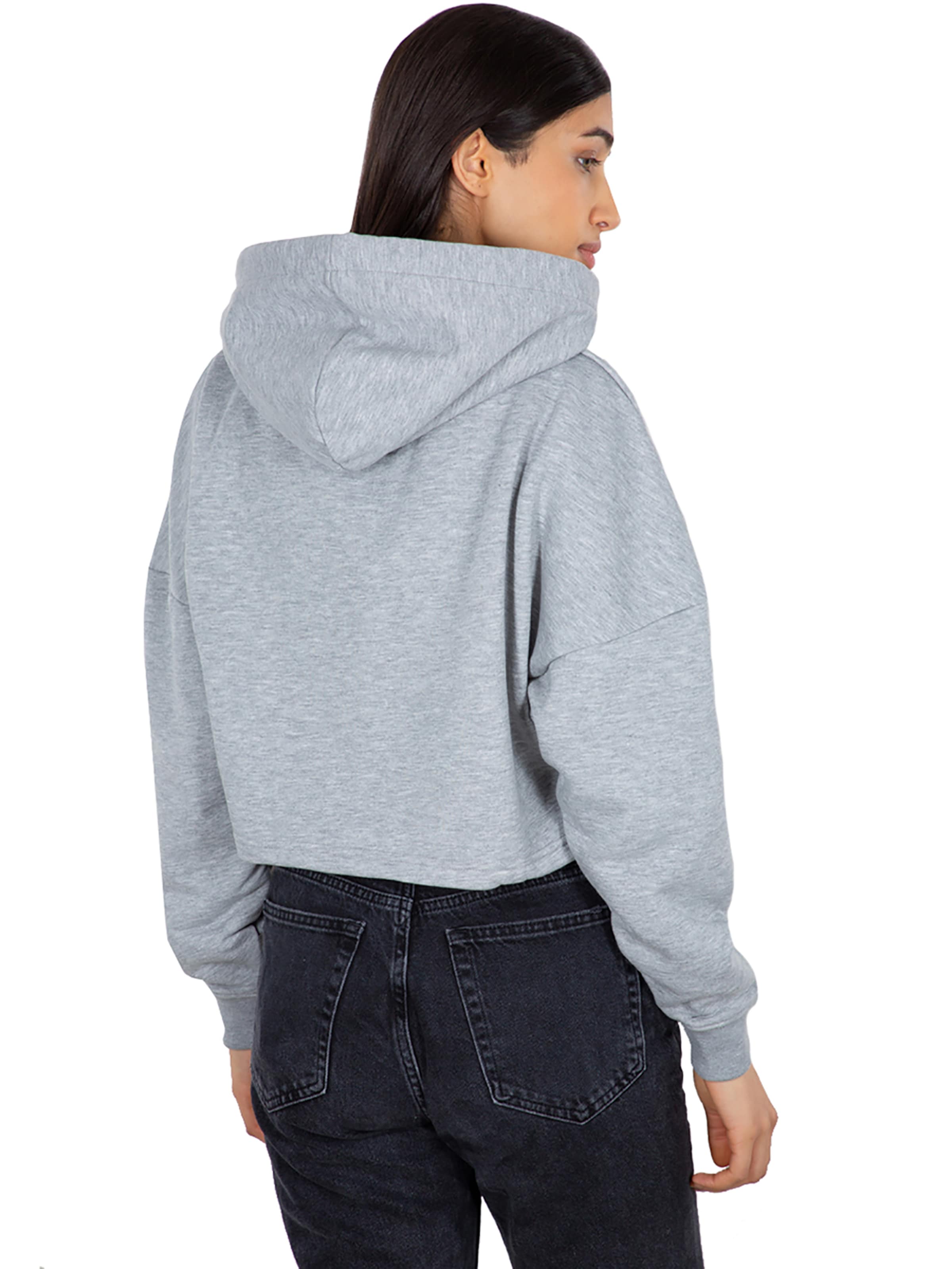 ALPHA INDUSTRIES Sweatshirt 'Basic' in Grey