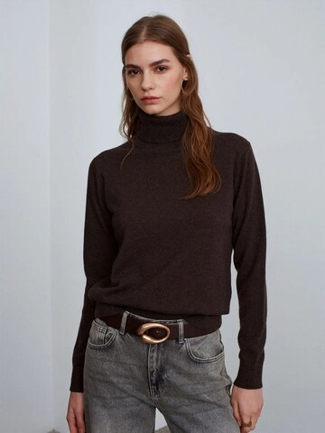 Dilvin Pullover 'Pullover'‌‌‌‌‌ in Braun