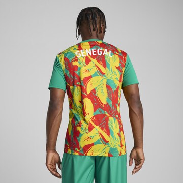 PUMA Jersey 'Senegal 2025 ' in Green