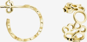 Sofia Milani Ohrringe in Gold: Vorderseite