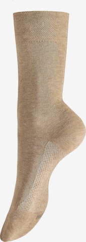 Hudson Socks 'Dry Cotton' in Beige: front
