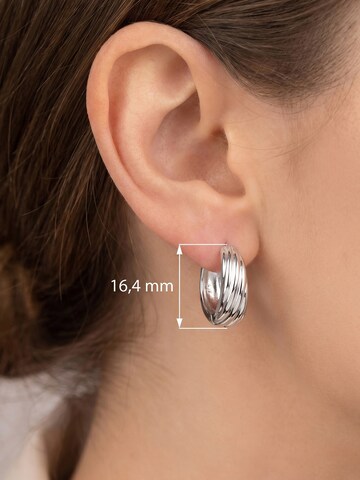 Jobo Earrings in Silver