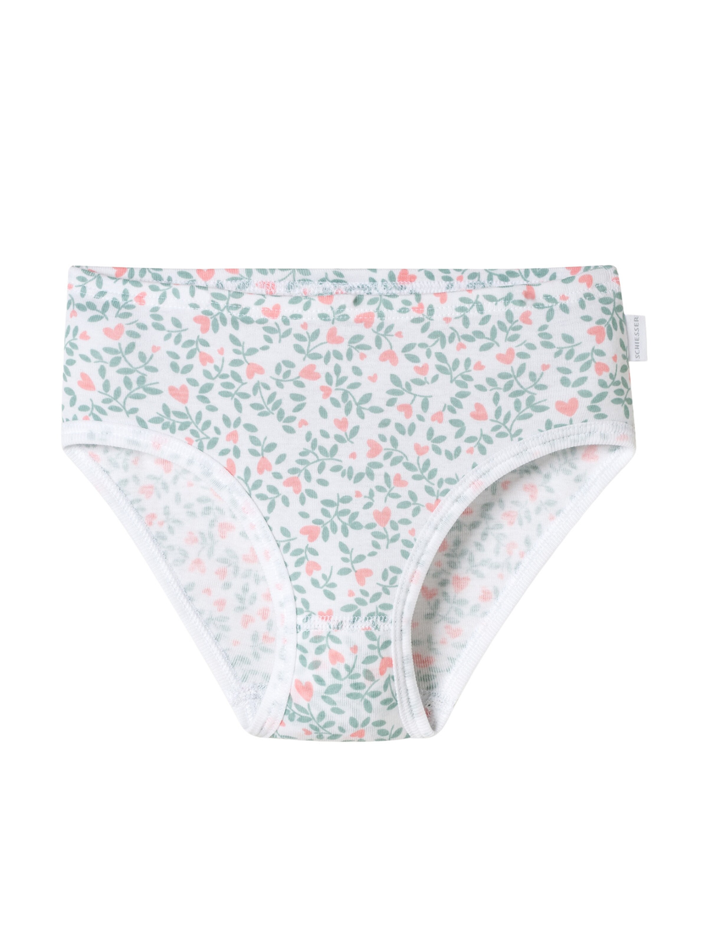 SCHIESSER Underpants ' Fine Rib ' in Mixed colors
