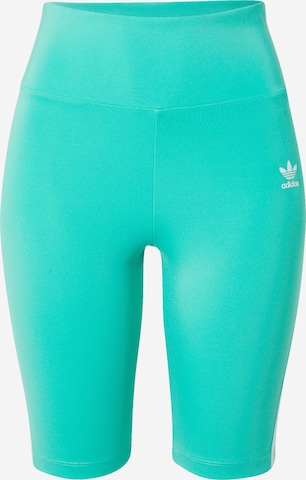 ADIDAS ORIGINALS Leggings in Groen: voorkant