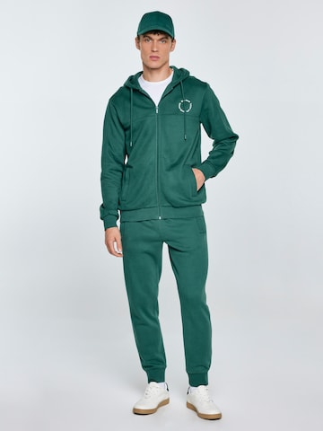 BIG STAR Sweatshirt 'Ajron' in Green