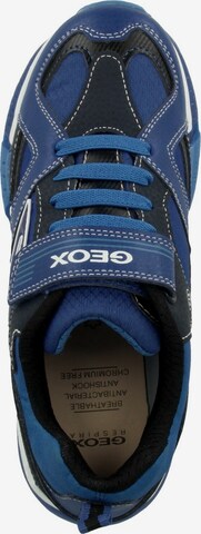 GEOX Sneaker 'Bayonyc' in Blau