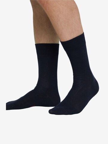 Chaussettes ESPRIT en bleu : devant