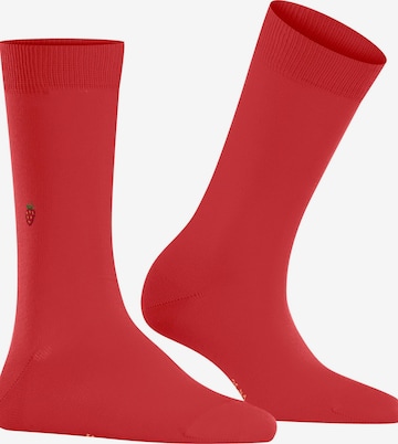 BURLINGTON Socks 'Brit Style' in Purple: front