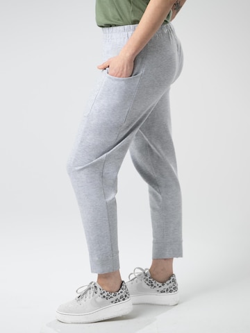 LEAFLETIC Regular Trousers 'Leafletic Women’s Trouser' in Grey