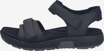JOSEF SEIBEL Sandals 'EMERIC 10' in Black: front
